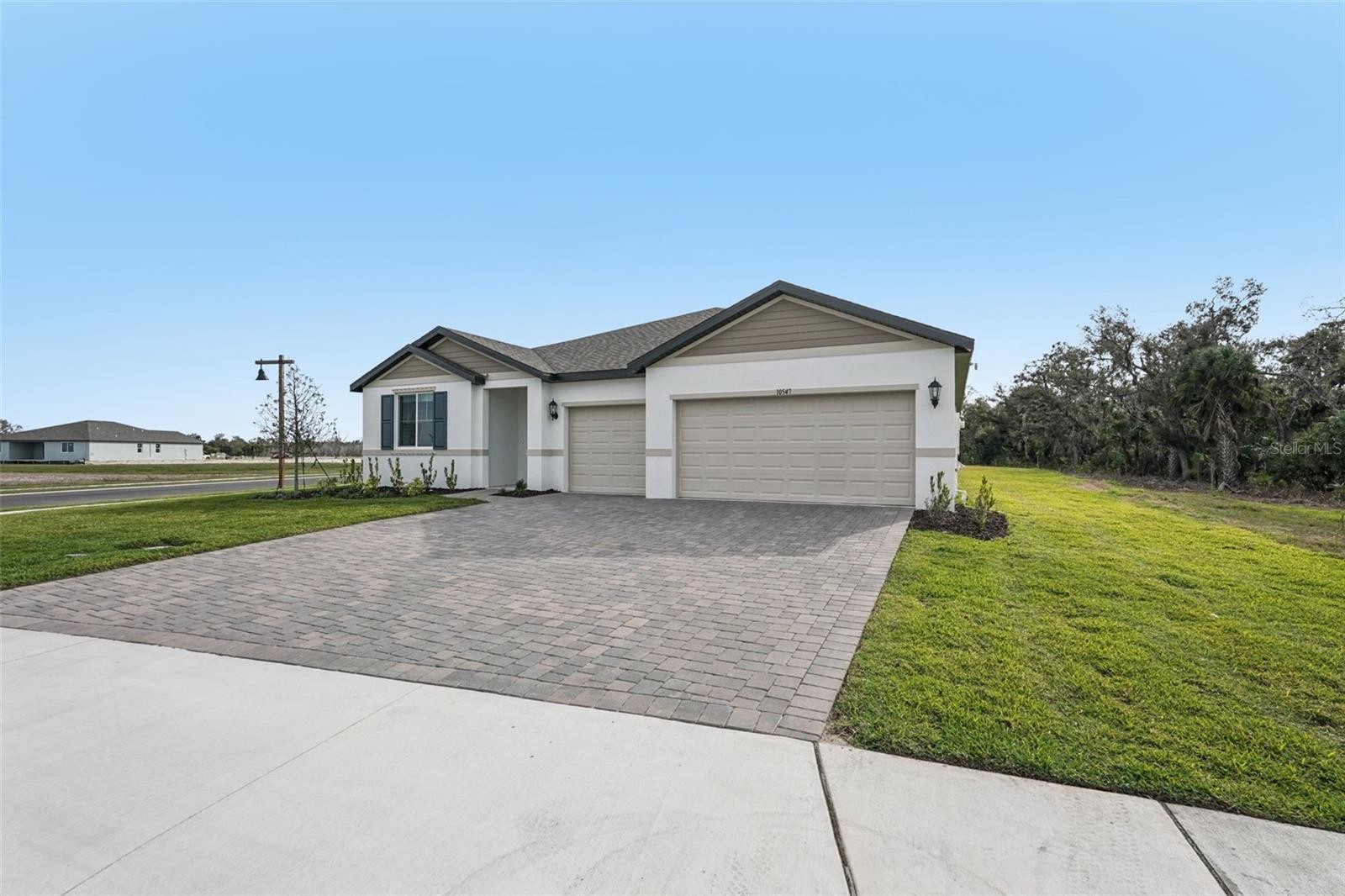 10547 ABUNDANCE GROVE WAY