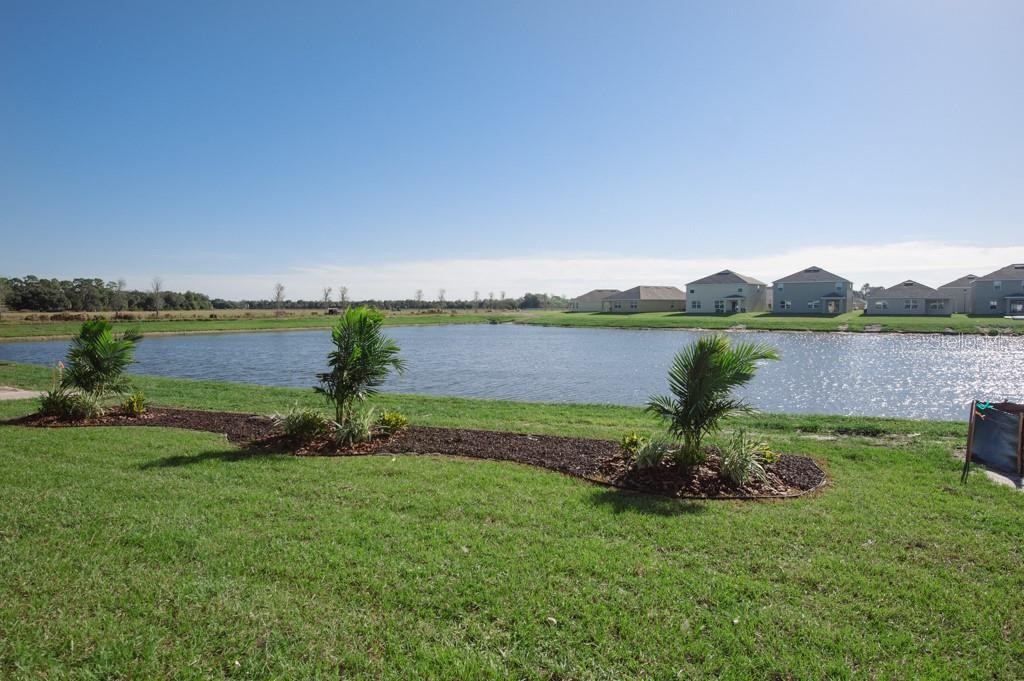 15543 TRINITY FALL WAY