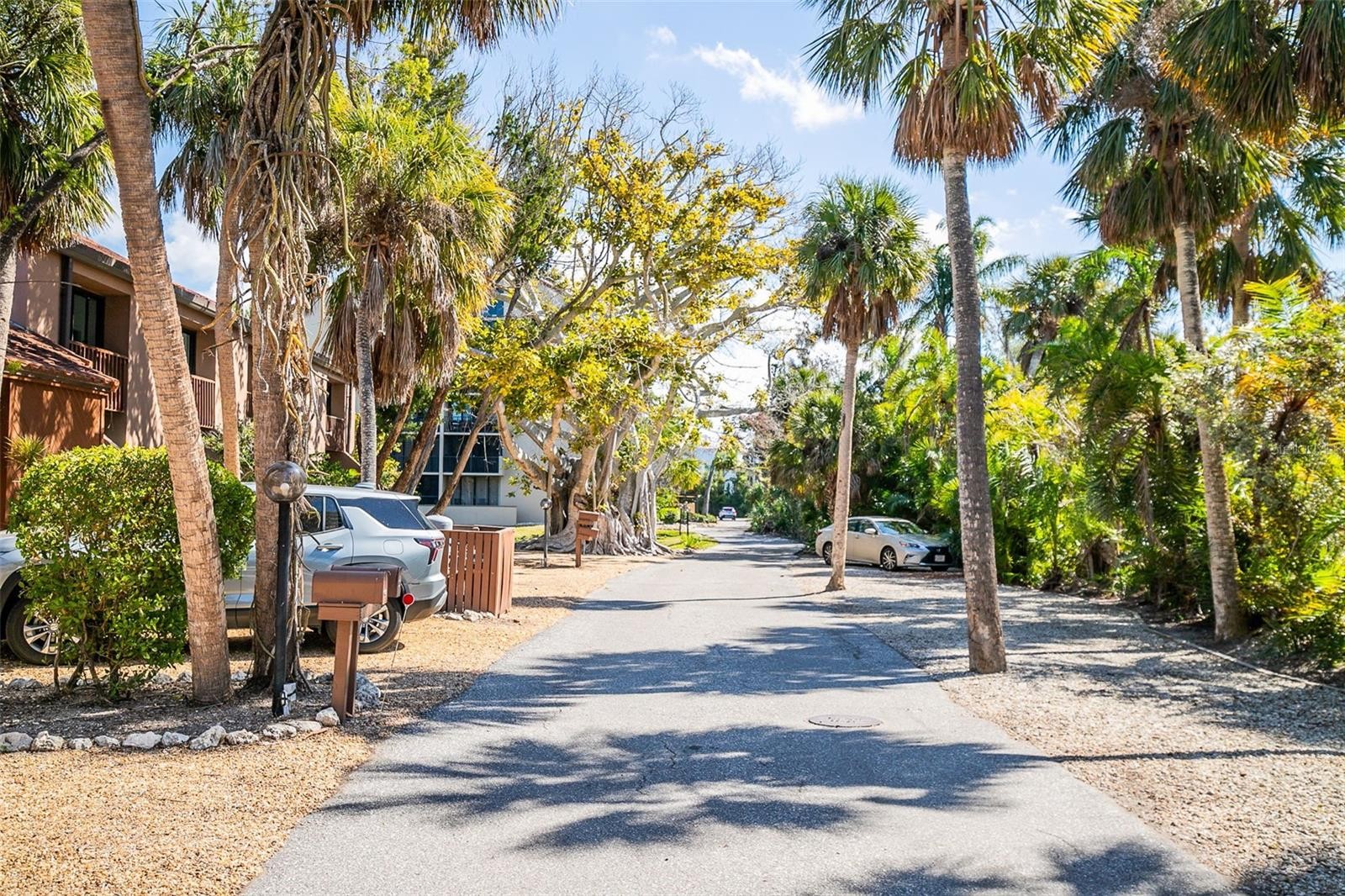 208 PASS KEY RD #208