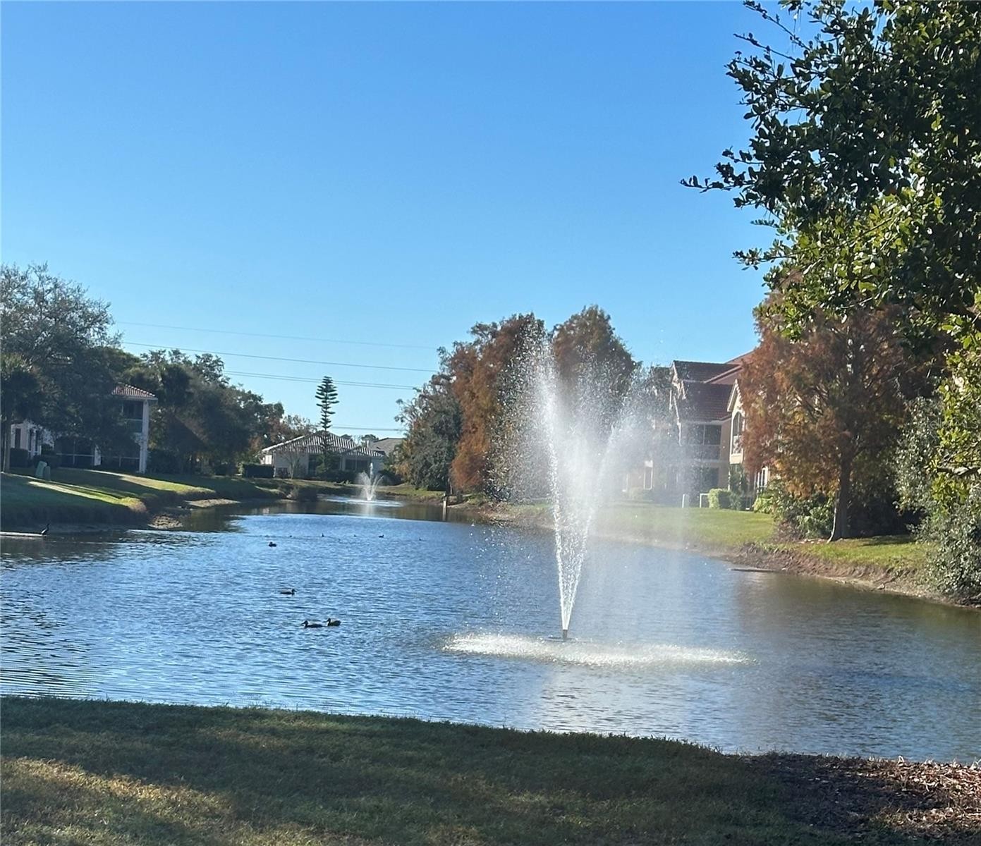 4126 CENTRAL SARASOTA PKWY #2011