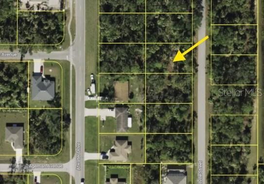 Lot 31 RUSSELLVILLE ST