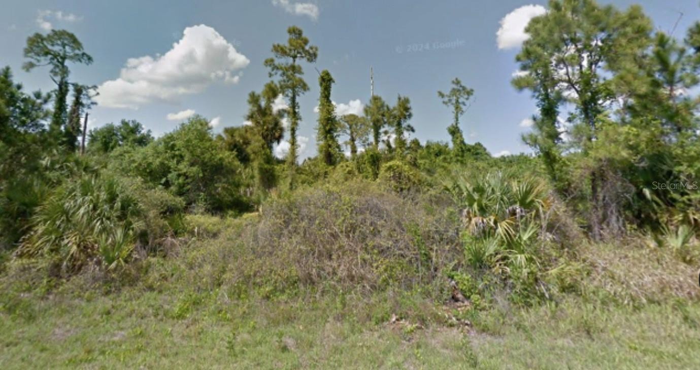 Lot 4 PIMENTO CIR
