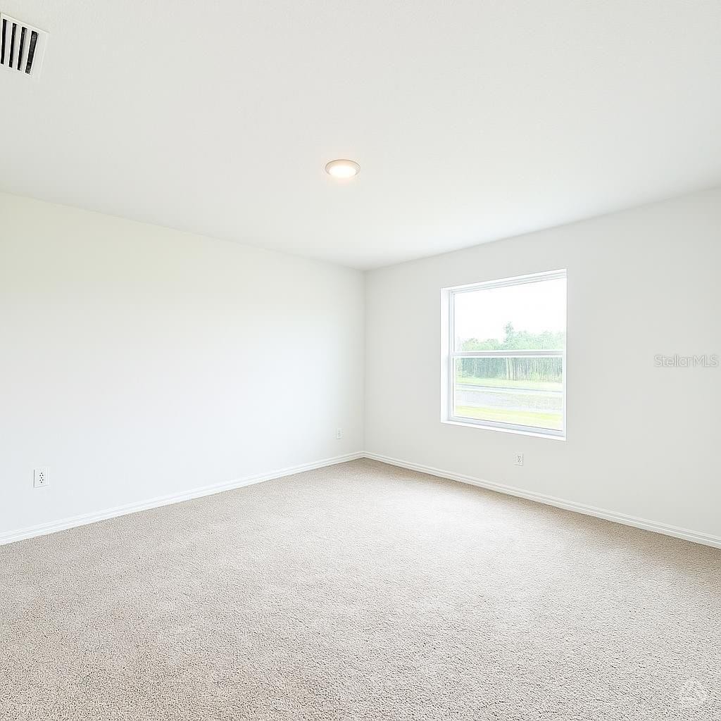 13111 SASSAFRAS TRAIL
