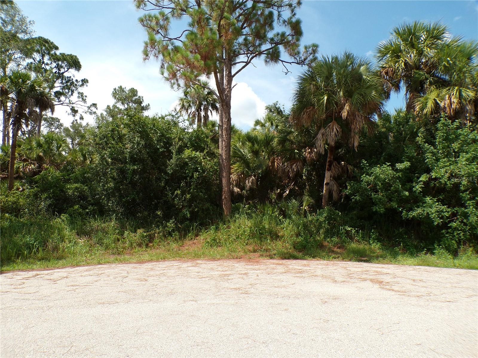 TORCH COURT