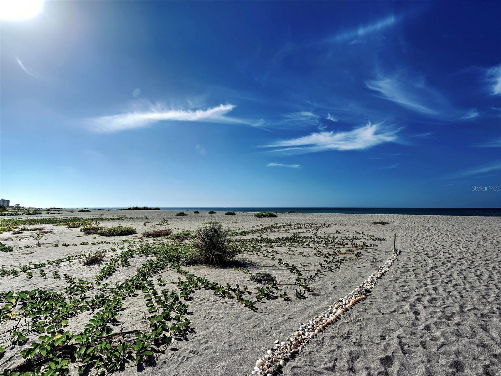 1100 TARPON CENTER DR #102B