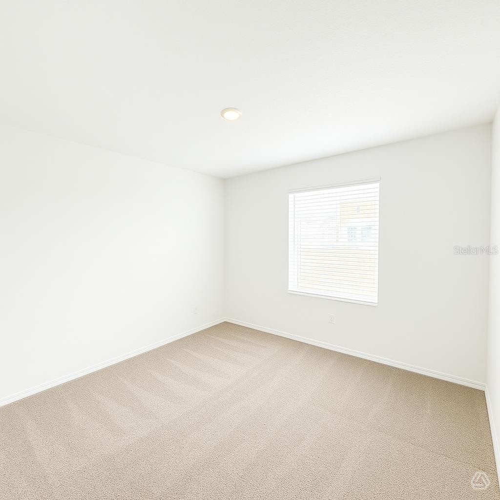 13106 SASSAFRAS TRAIL