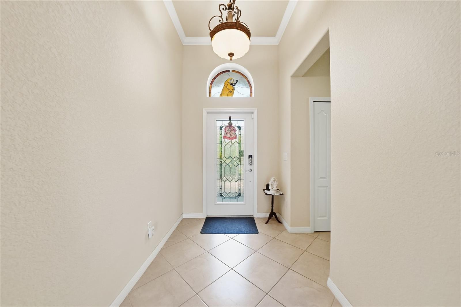 11720 SPOTTED MARGAY AVE