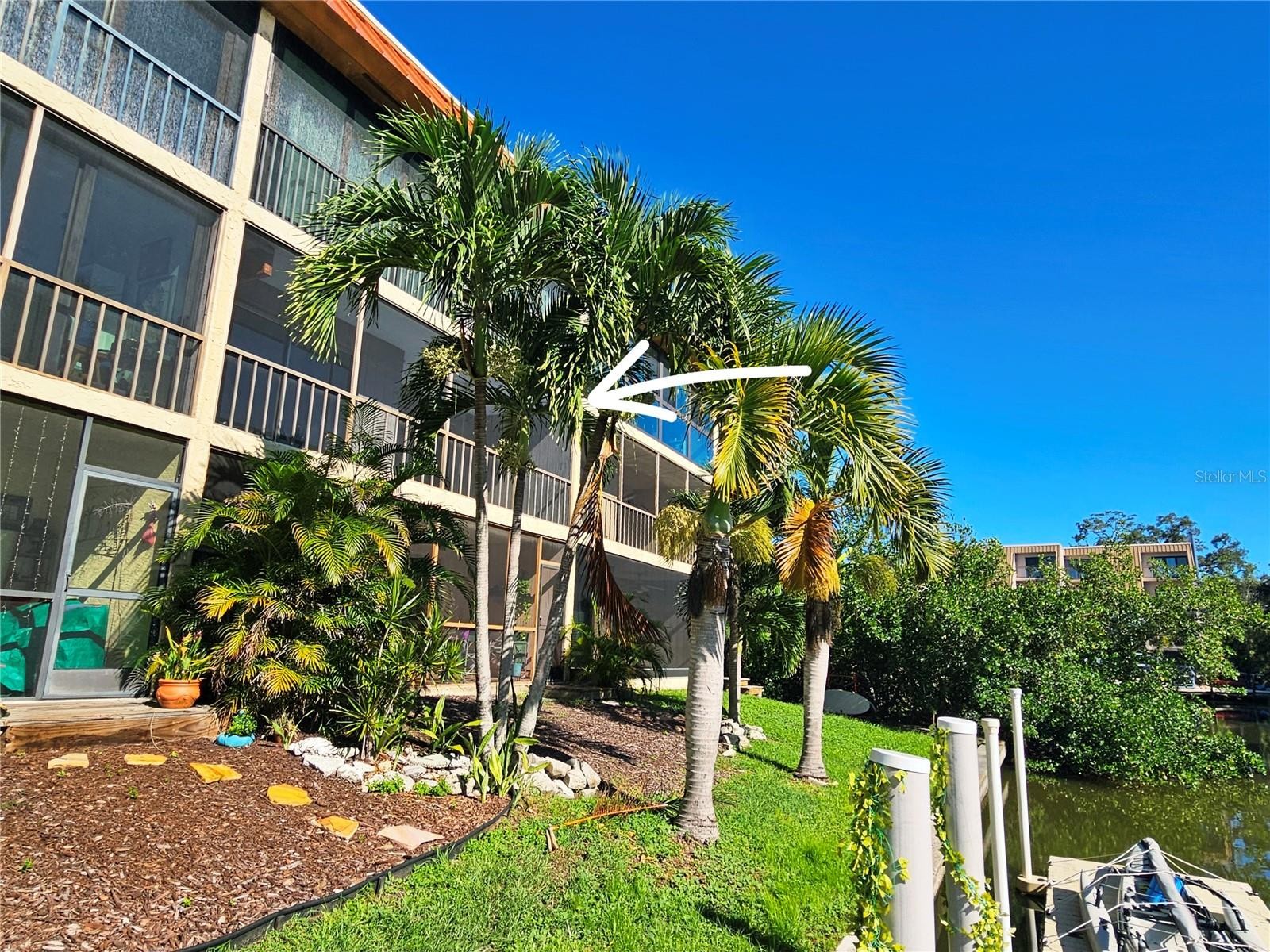 1650 PINE TREE LN #204