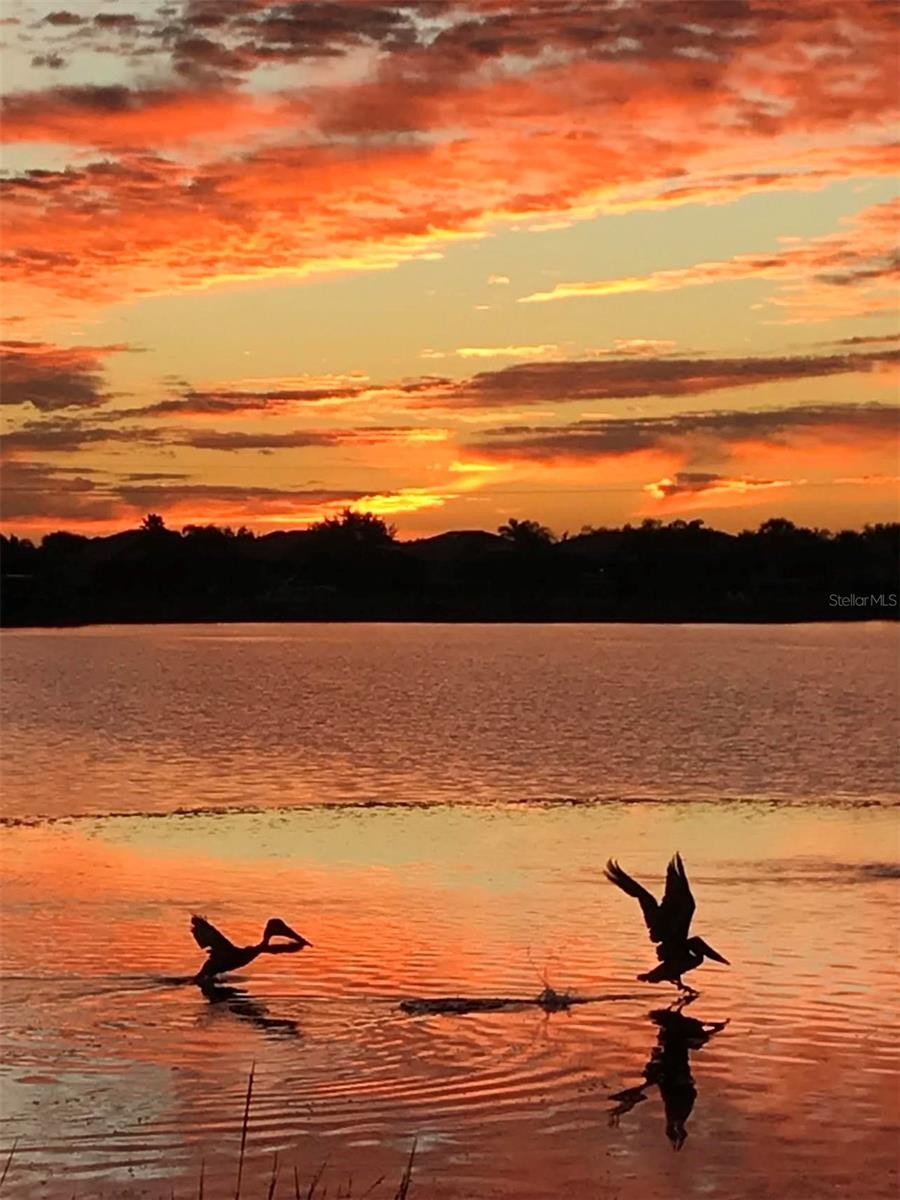 1151 RIVERSCAPE ST #1151