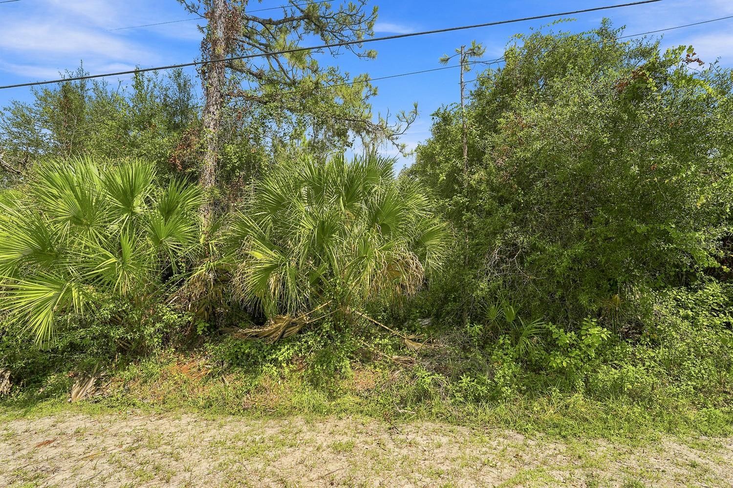 HENDERSON LN