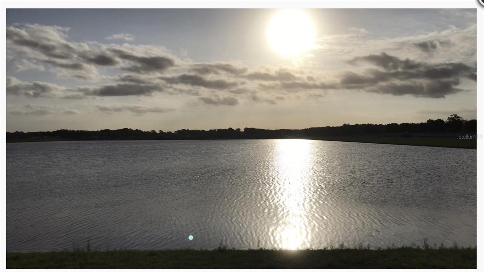 9781 ROYAL SHORES DR