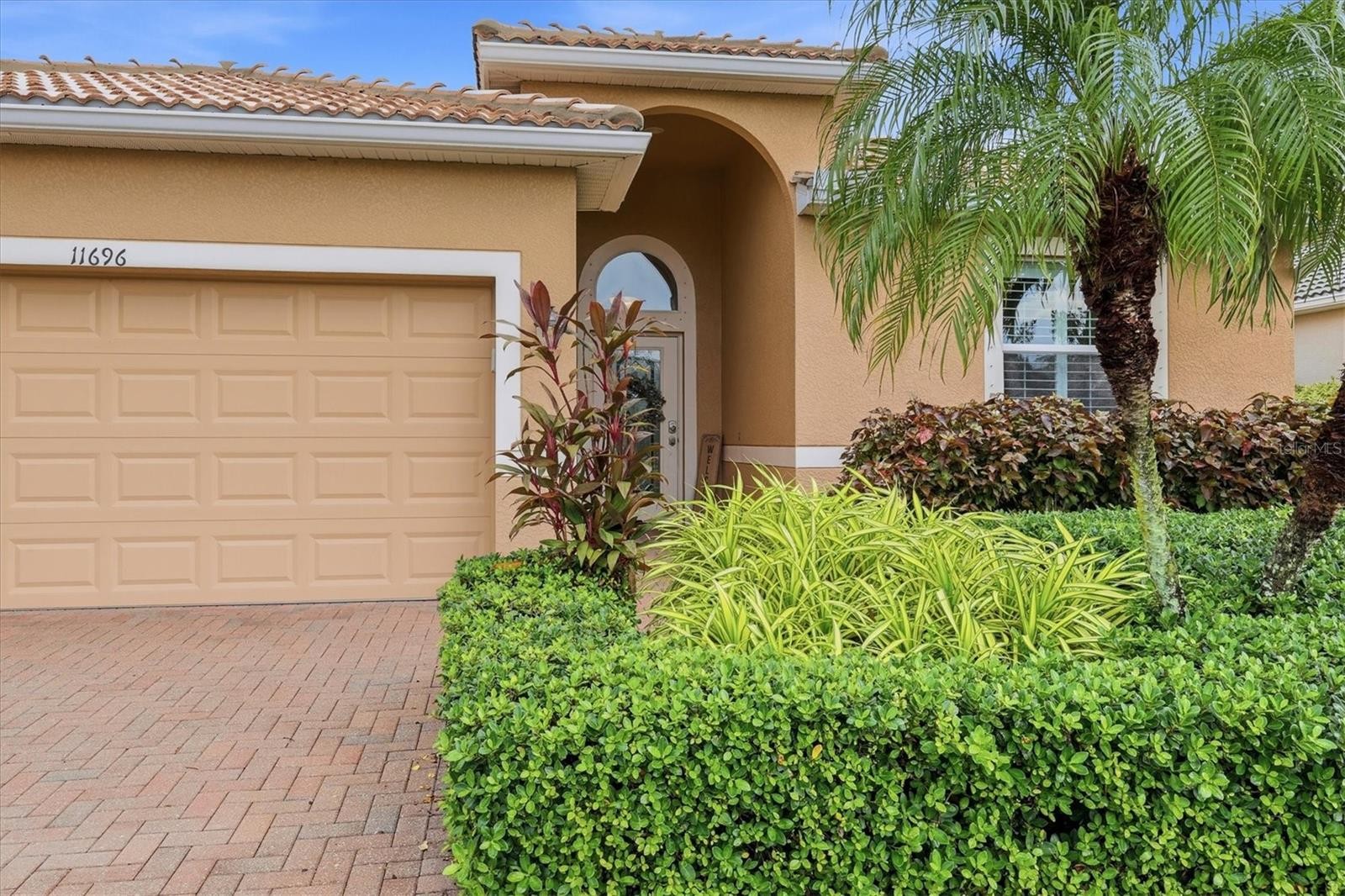 11696 SPOTTED MARGAY AVE