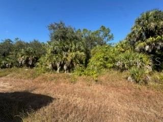LOT 4 MATTOX CIR