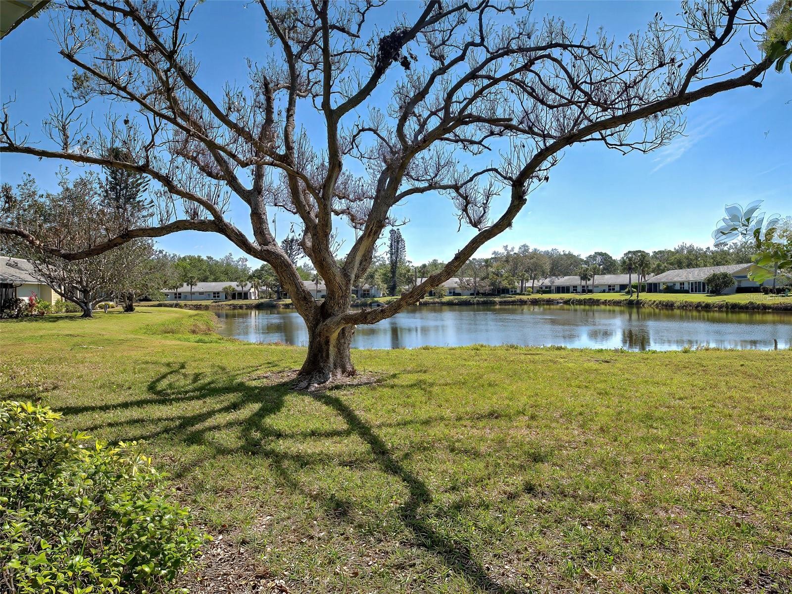 220 SOUTHAMPTON DRIVE #325