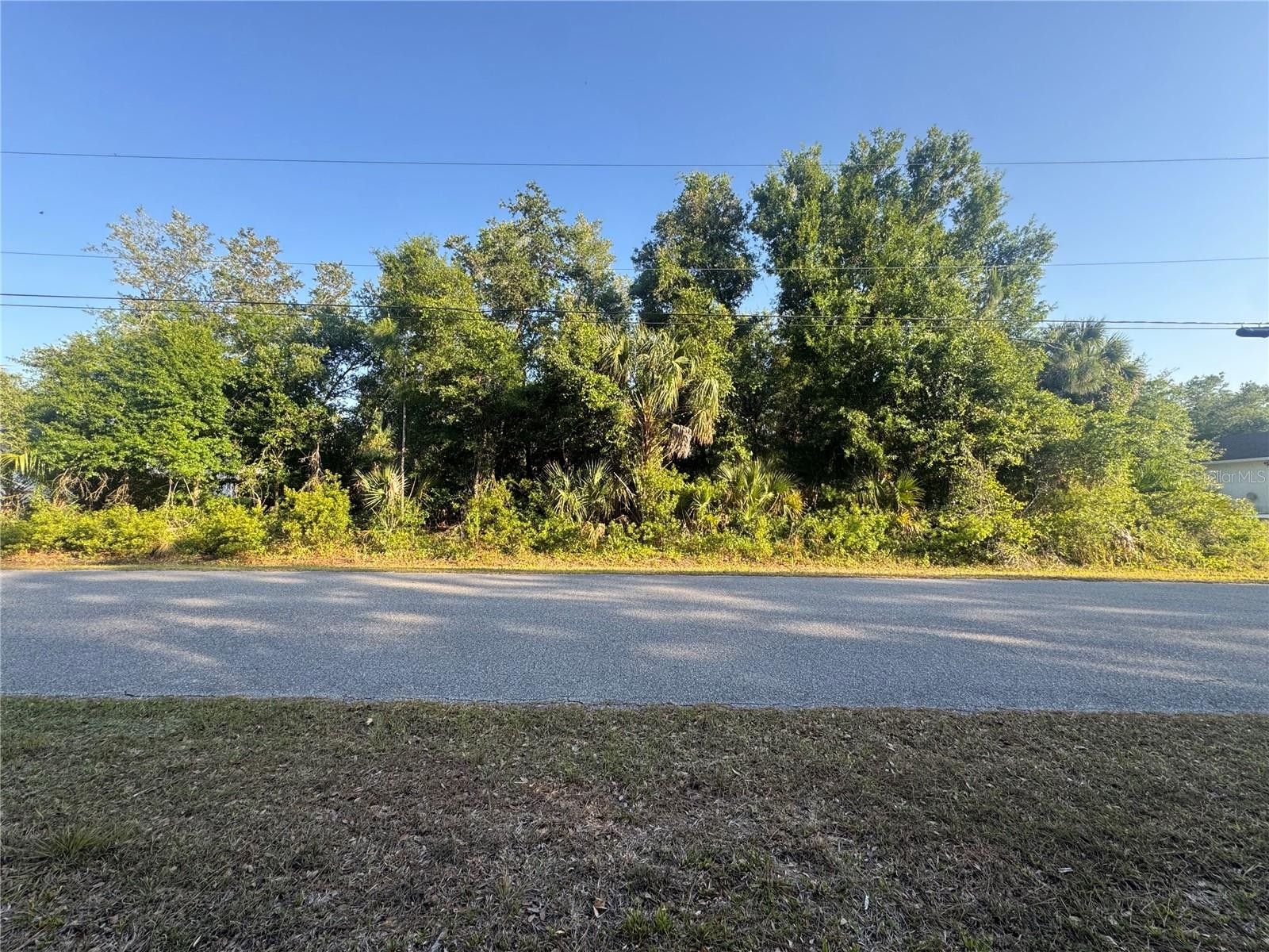 PETAL RD