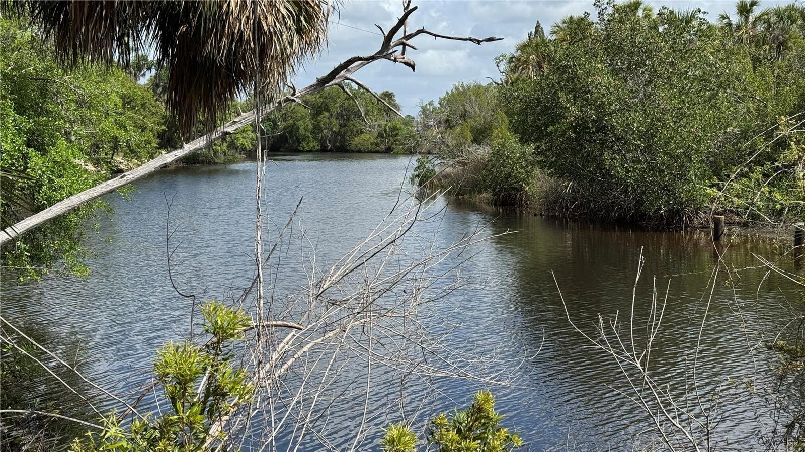 12807 UPPER MANATEE RIVER RD