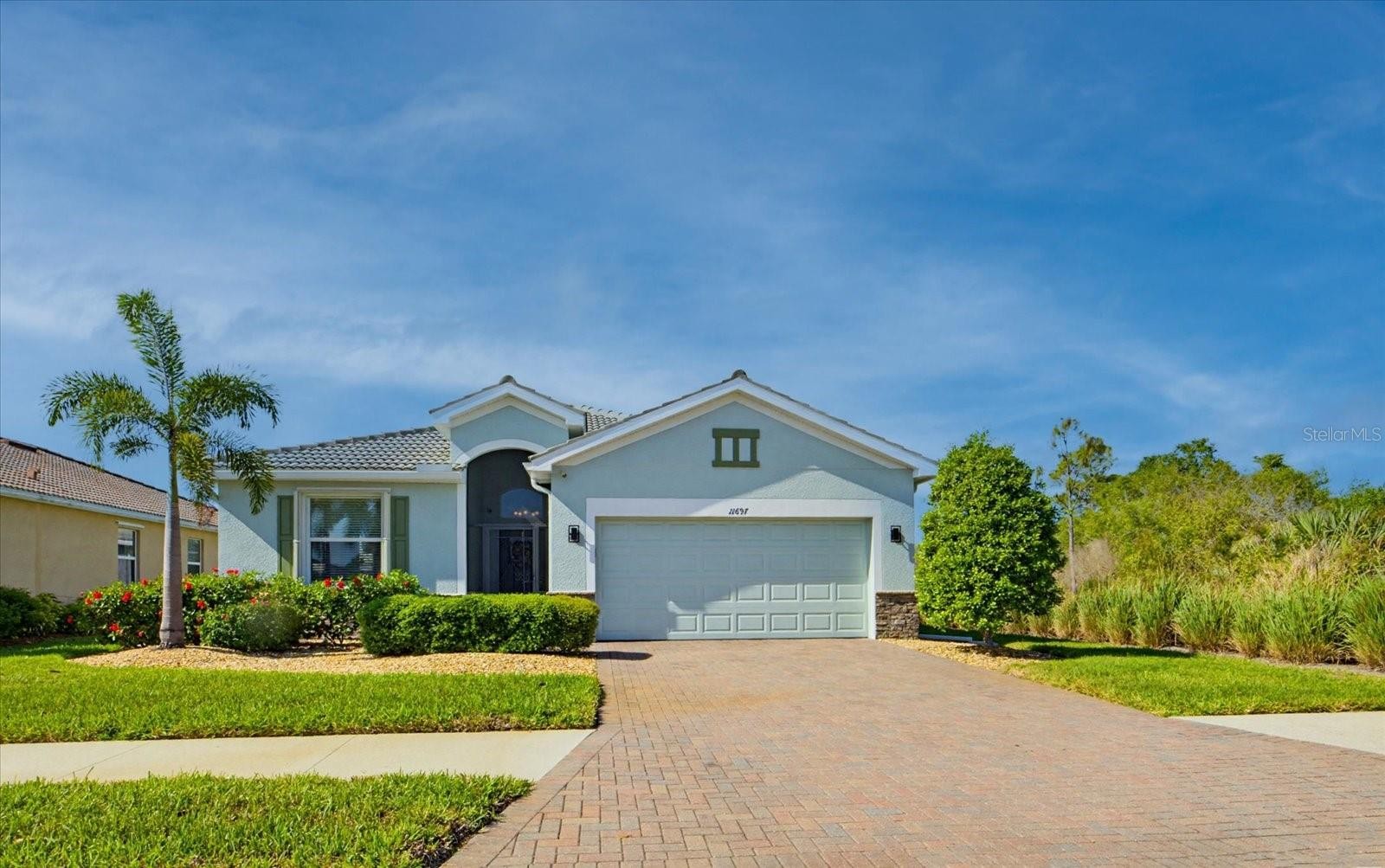 11697 SPOTTED MARGAY AVE