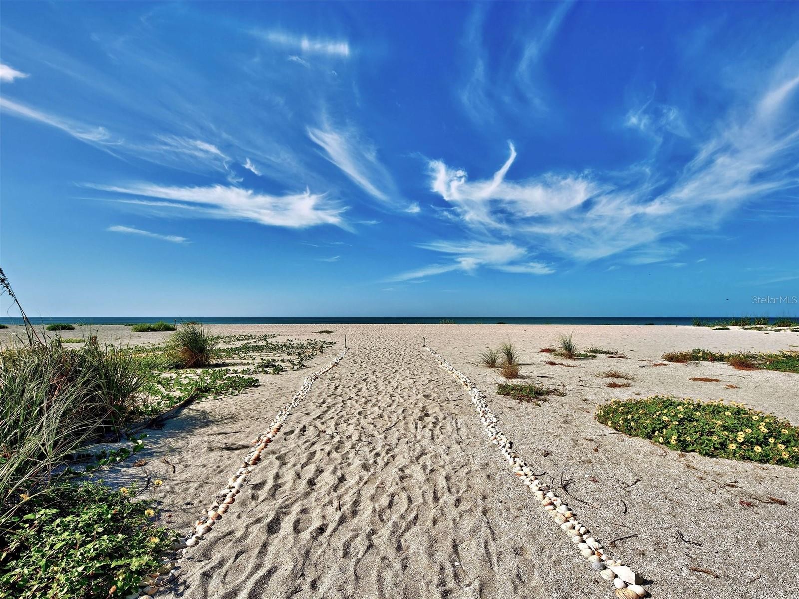 1100 TARPON CENTER DR #102B