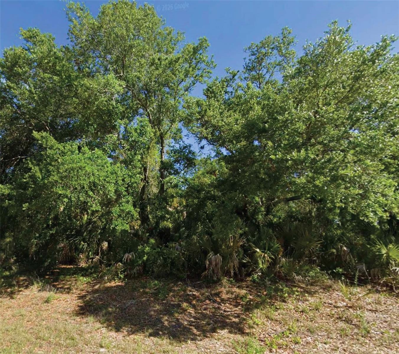 MATTOX CIR