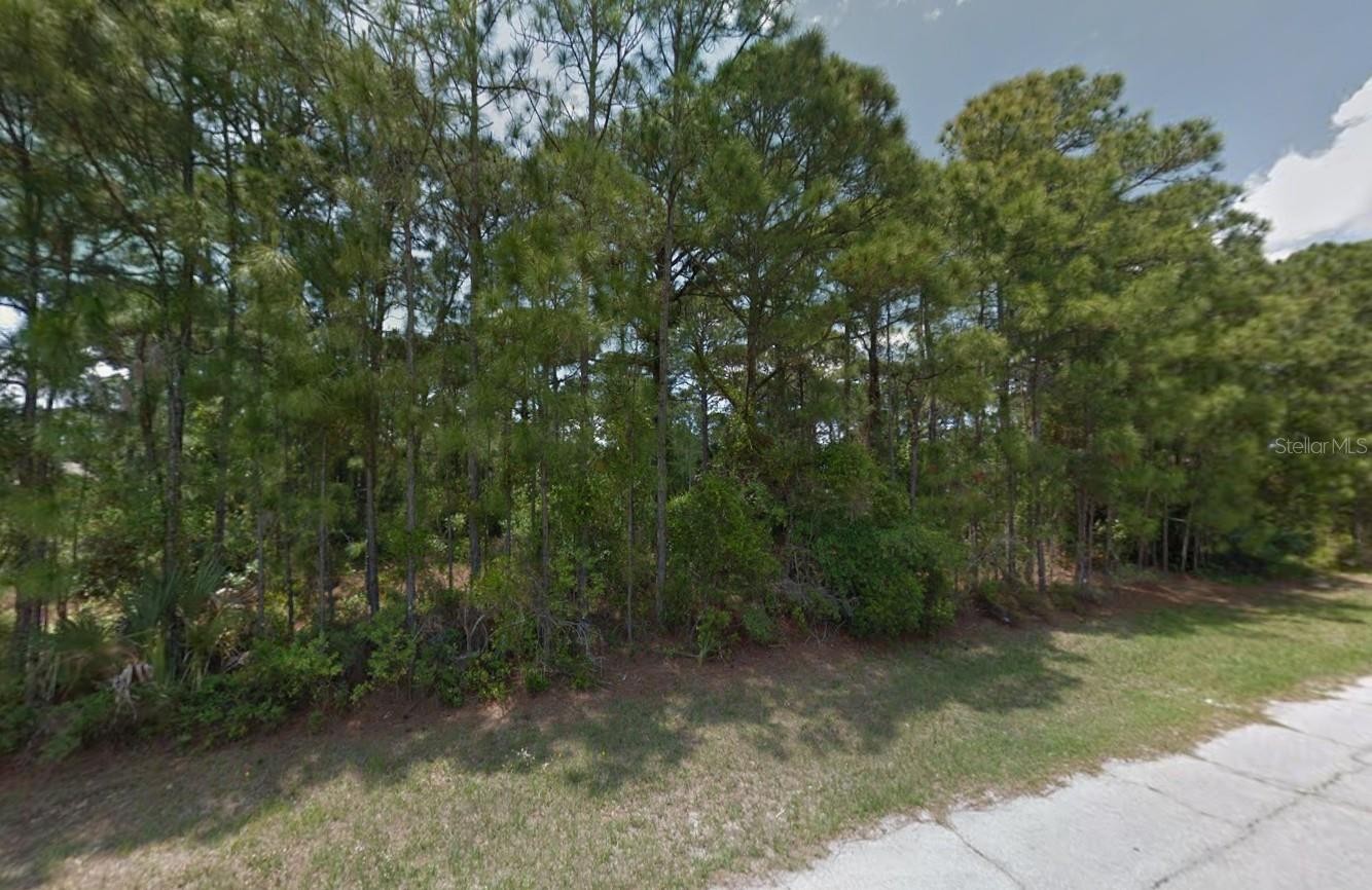 Lot 34 TRINITY ST