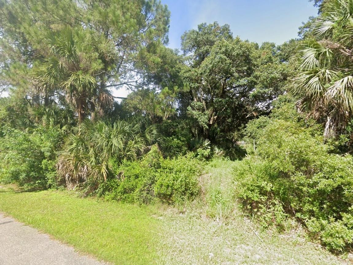 Lot 31 GAINSBORO ST