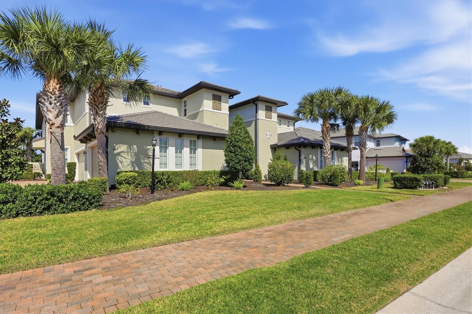 7412 DIVOT LOOP #7412