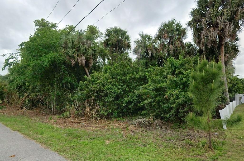 CALADIUM RD