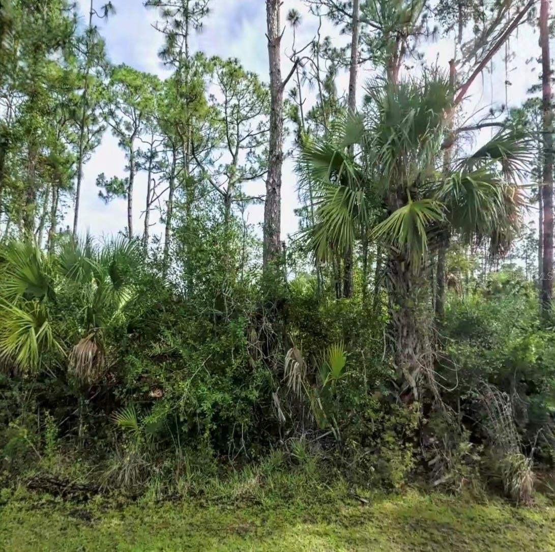 Lot 17 DONATELLO AVE