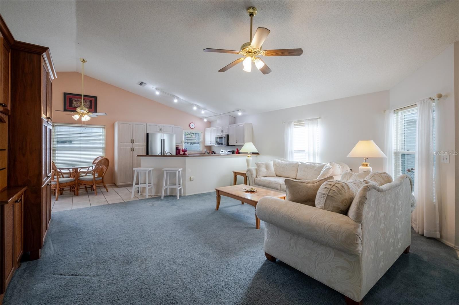 3574 BLECHNUM FERN LN