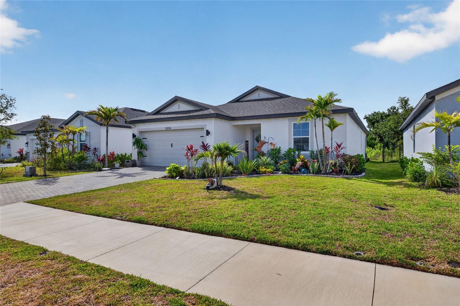 5316 PATANO LOOP