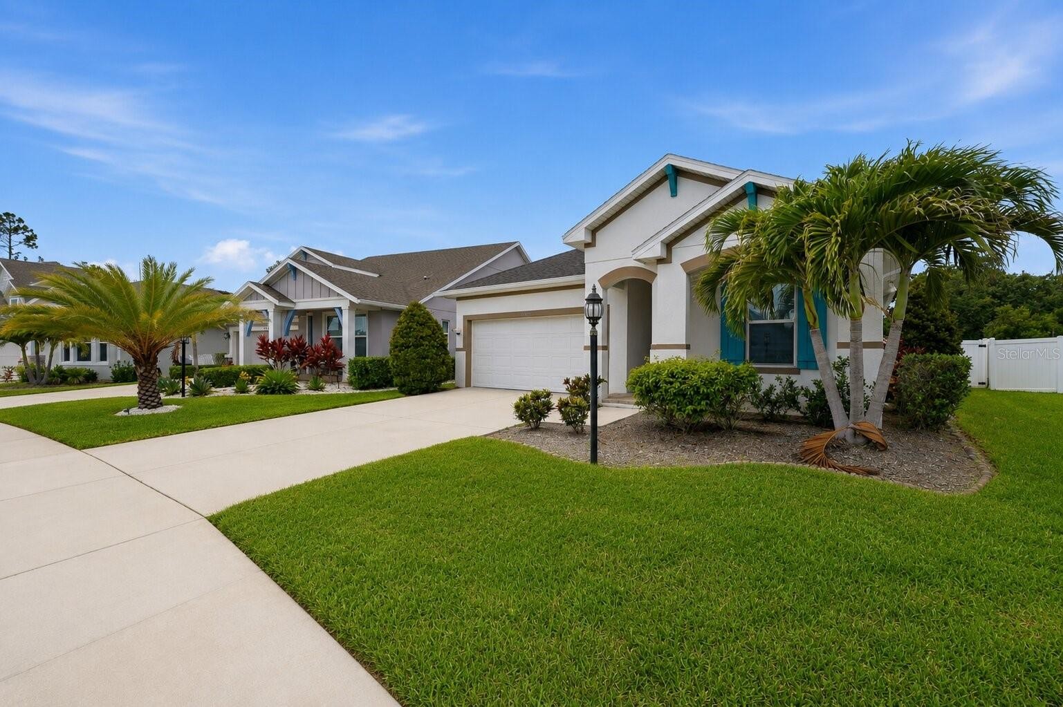 5518 SPANISH MOSS CV