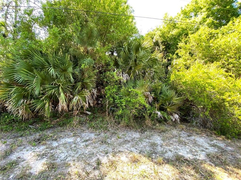 Lot 26 RUSSELLVILLE ST