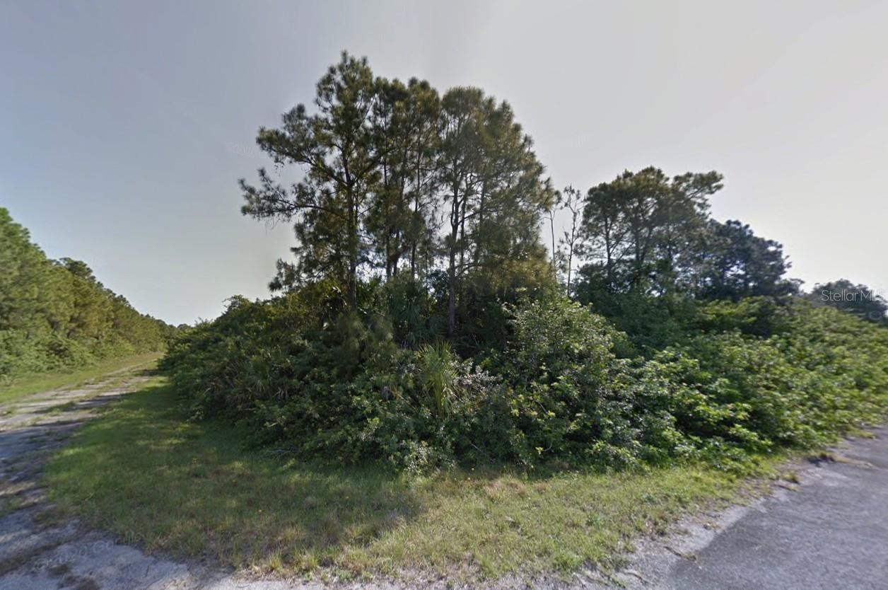 Lot 1 HAVEMEYER ST
