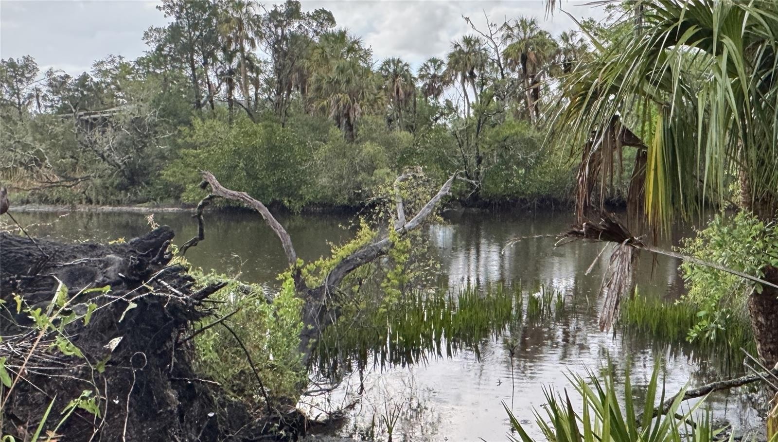 12817 UPPER MANATEE RIVER RD