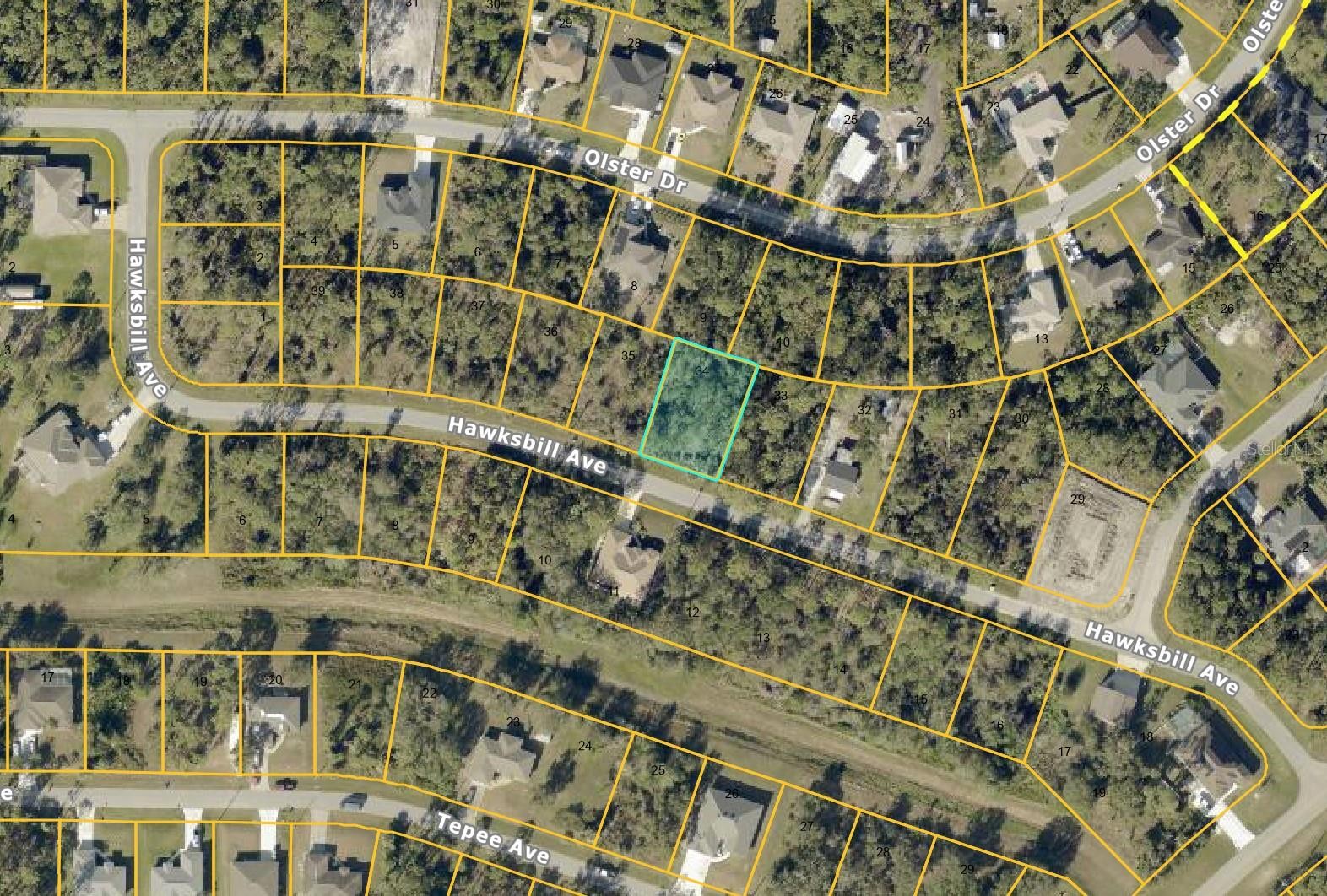 HAWKSBILL AVE
