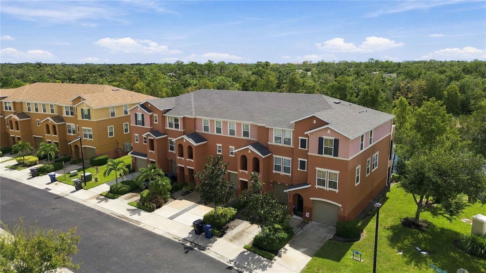 8884 WHITE SAGE LOOP