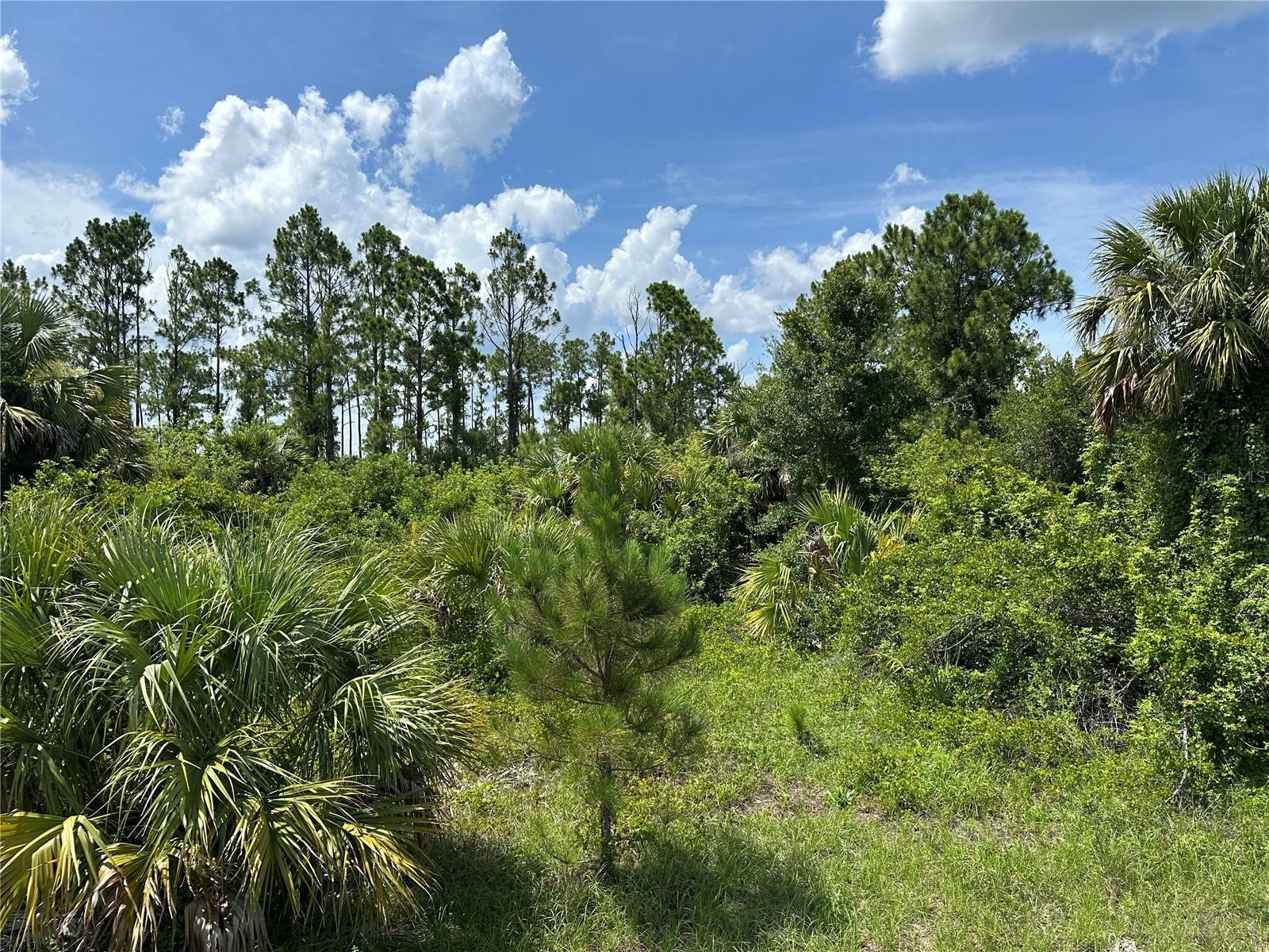 Lot 10 LANGLAIS DR