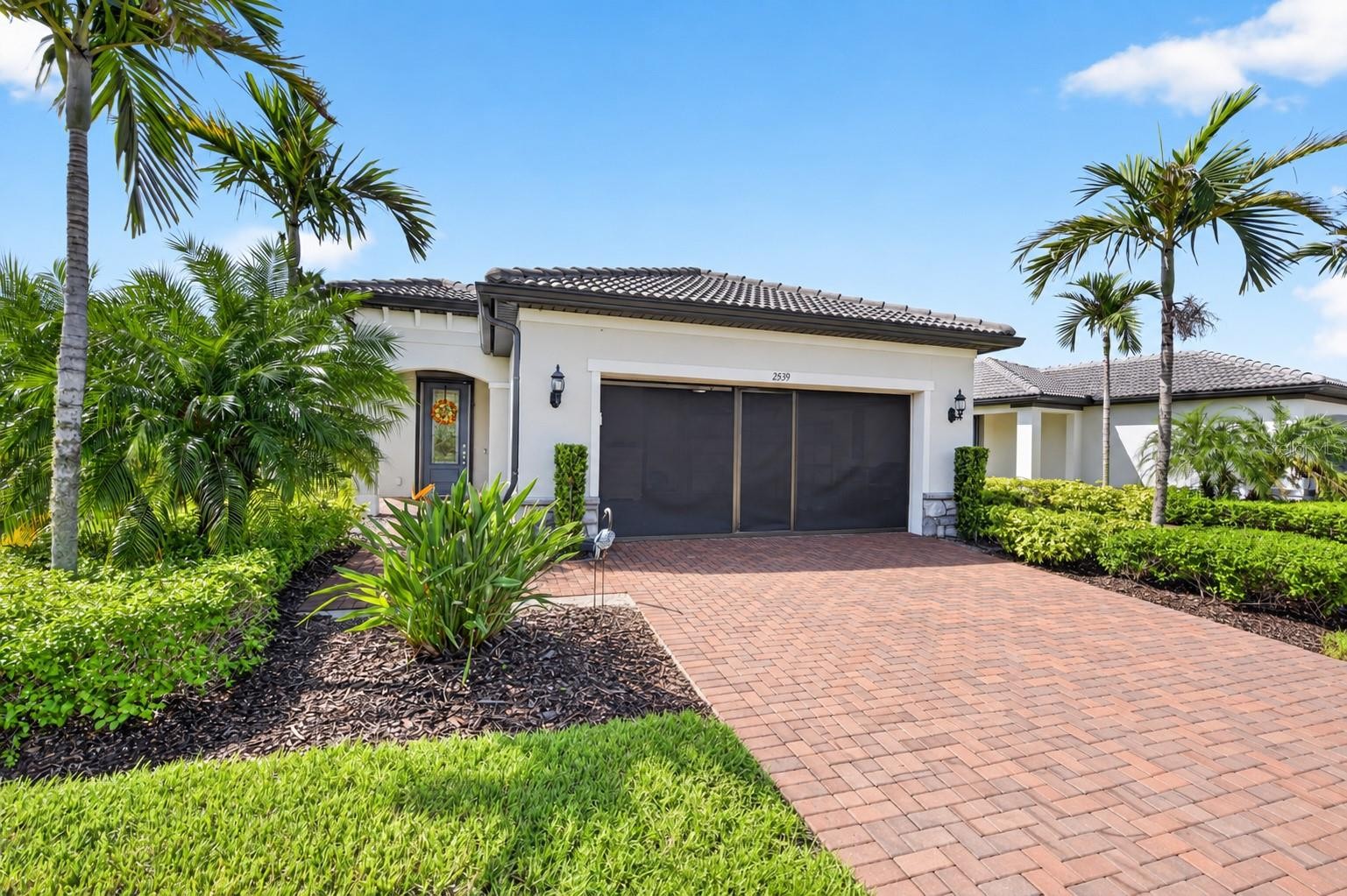 2539 BRASSICA DR