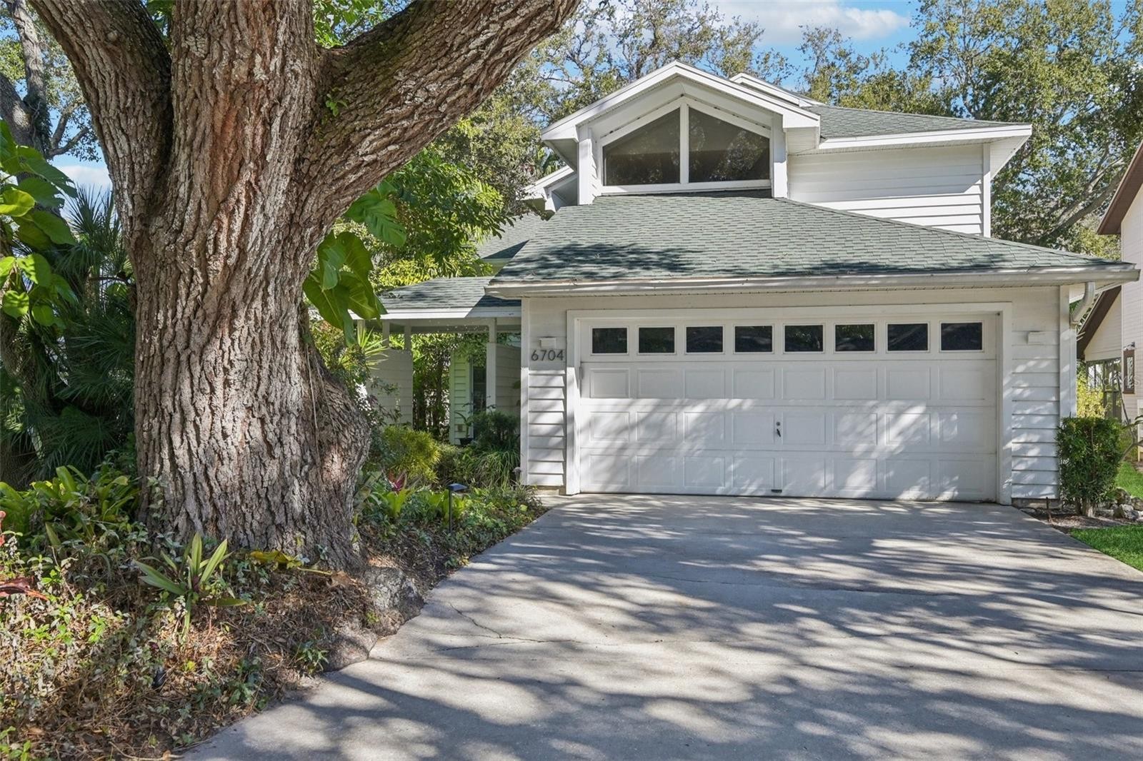 6704 ARBOR OAKS DR
