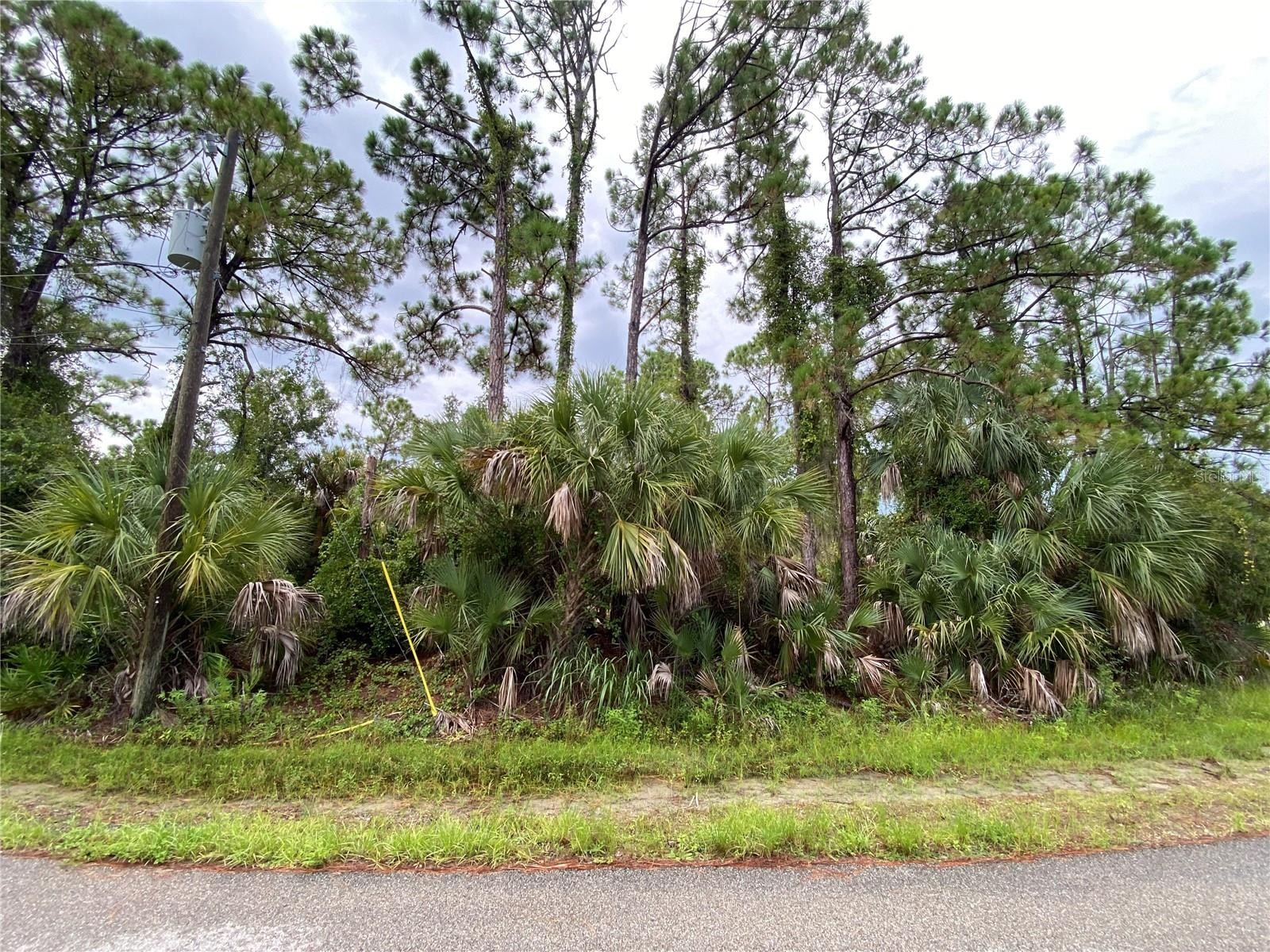 Needle Ter North Port Florida 34286