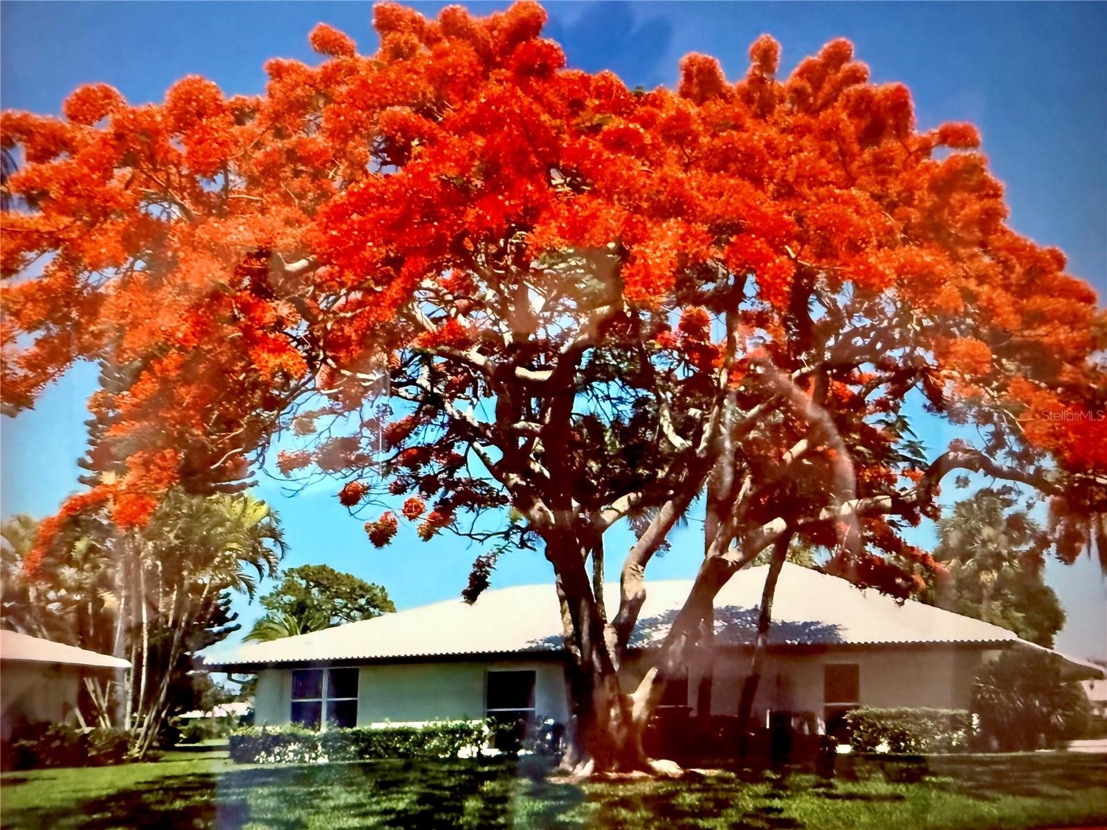 6712 11TH AVE W #5601