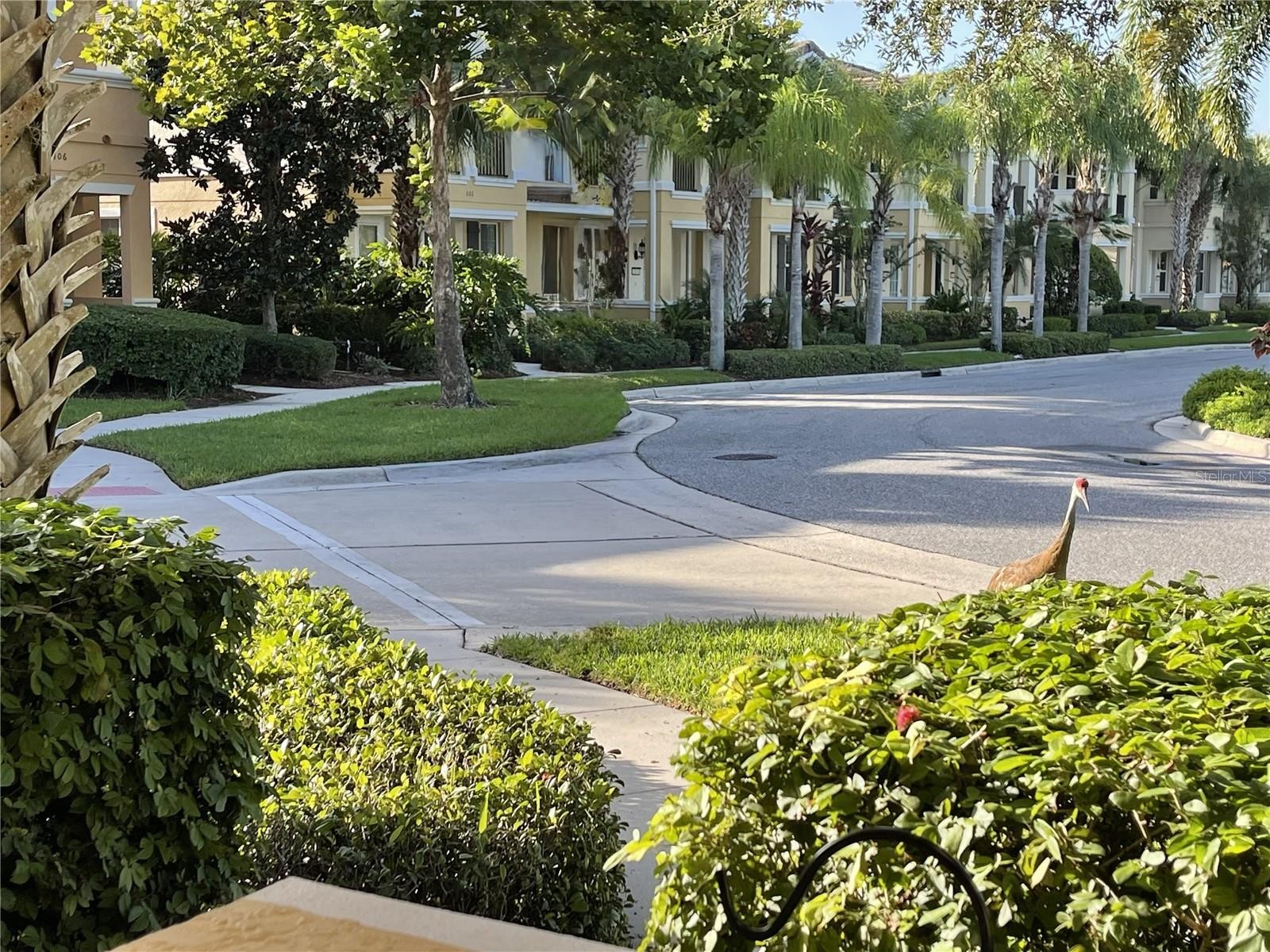 3810 82ND AVENUE CIR E #106