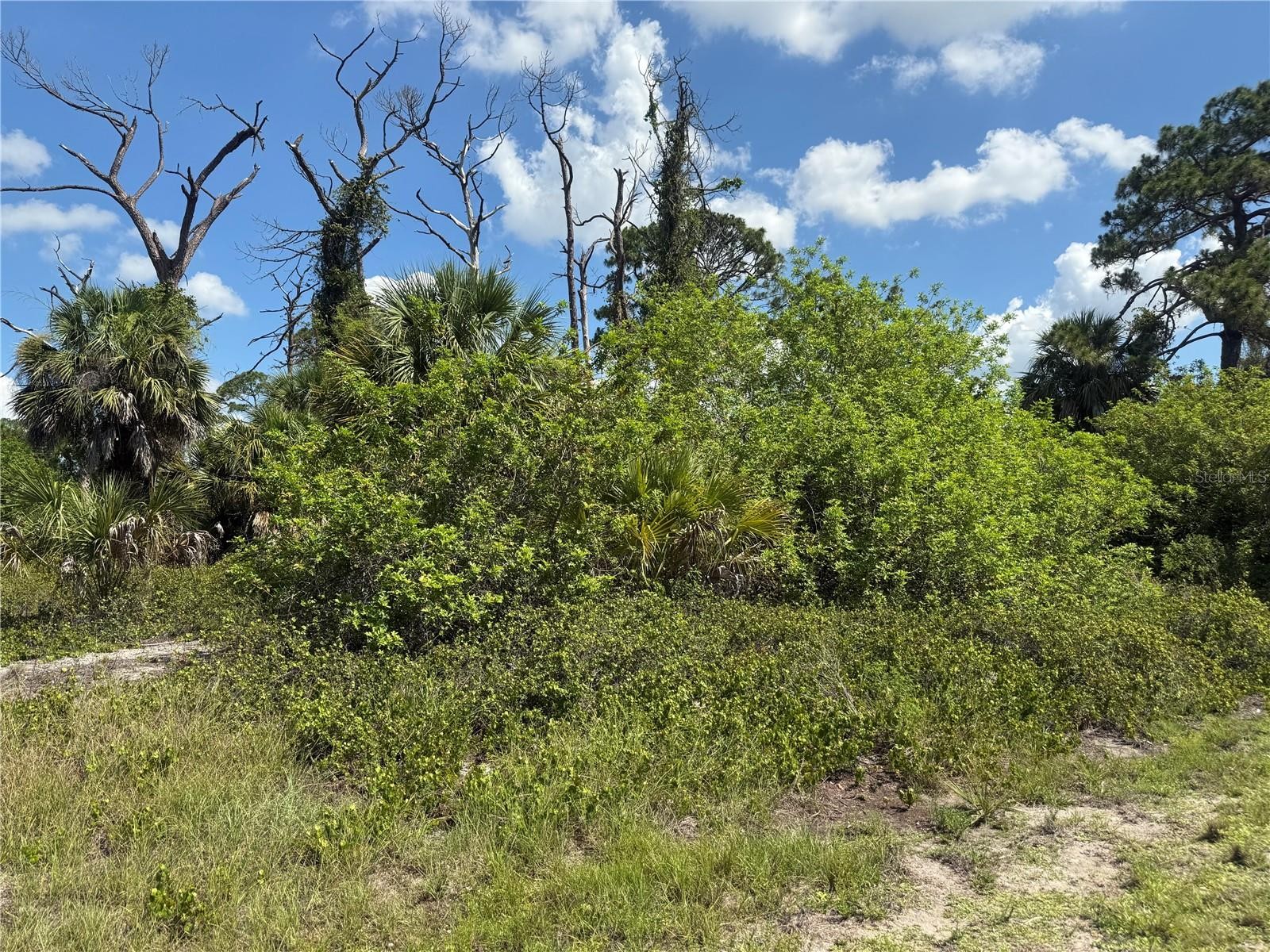 FAIRLANE DR