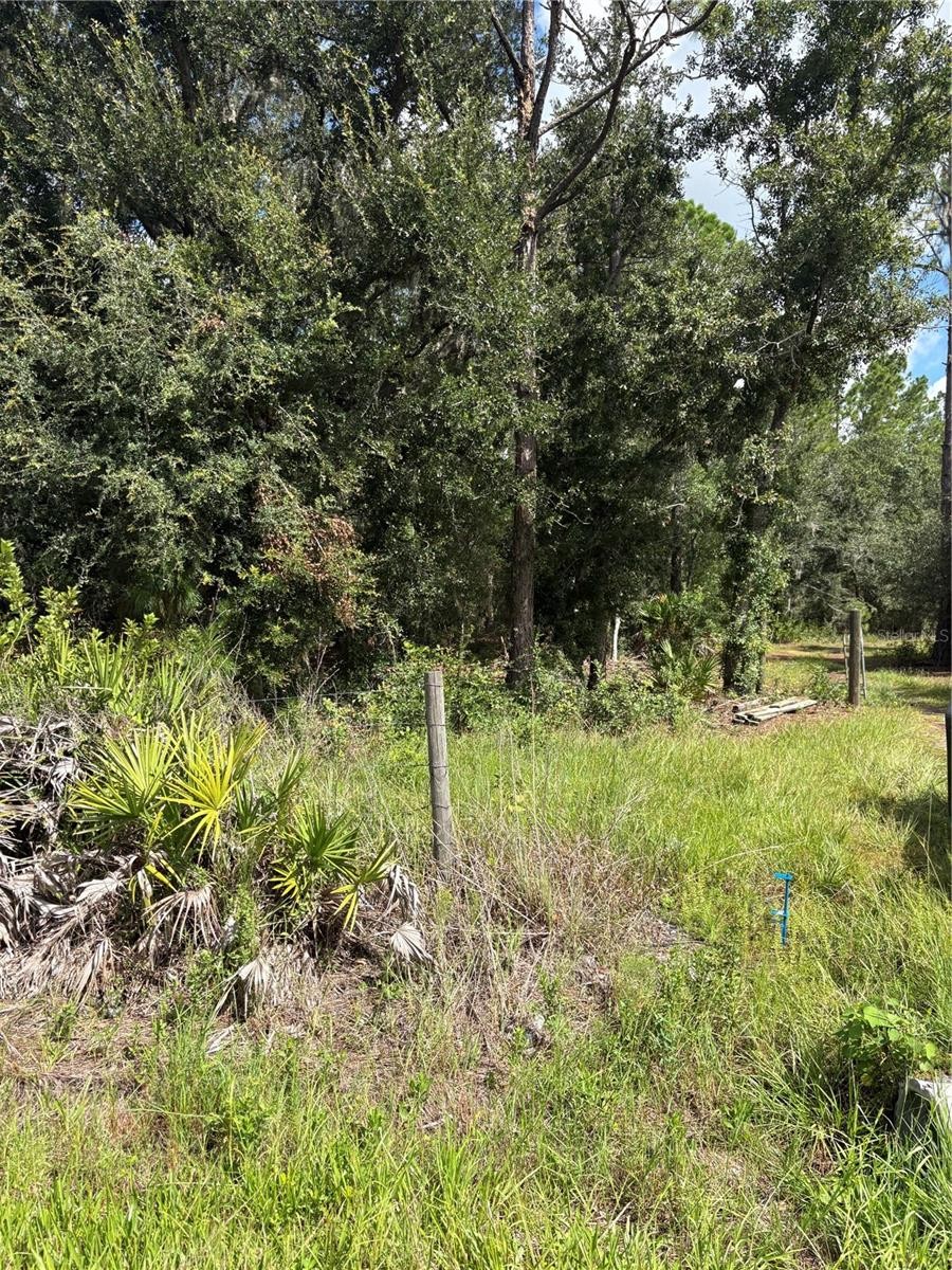 5020 WAUCHULA RD