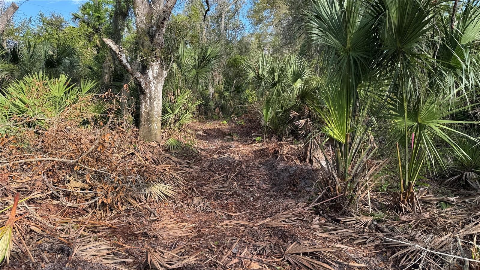 12807 UPPER MANATEE RIVER RD