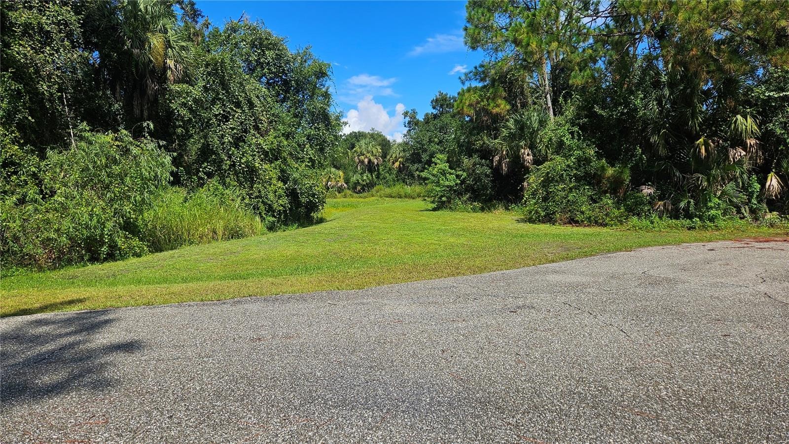 LONGWELL LOT #29 LN