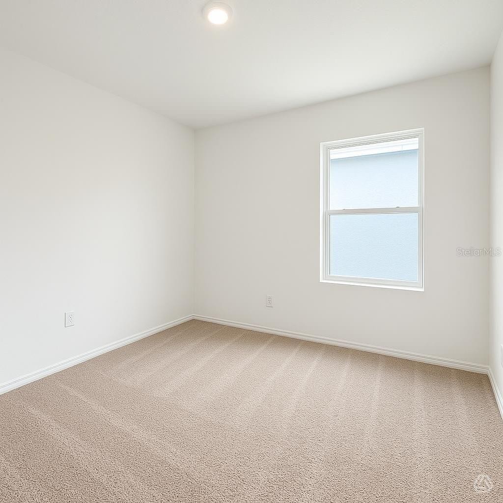 13205 SASSAFRAS TRAIL