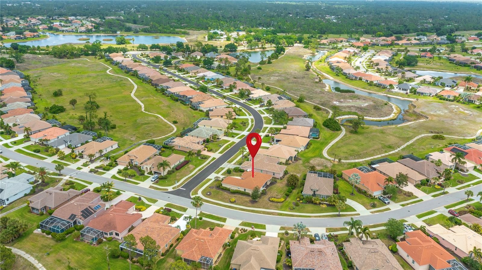 2996 PHOENIX PALM TER