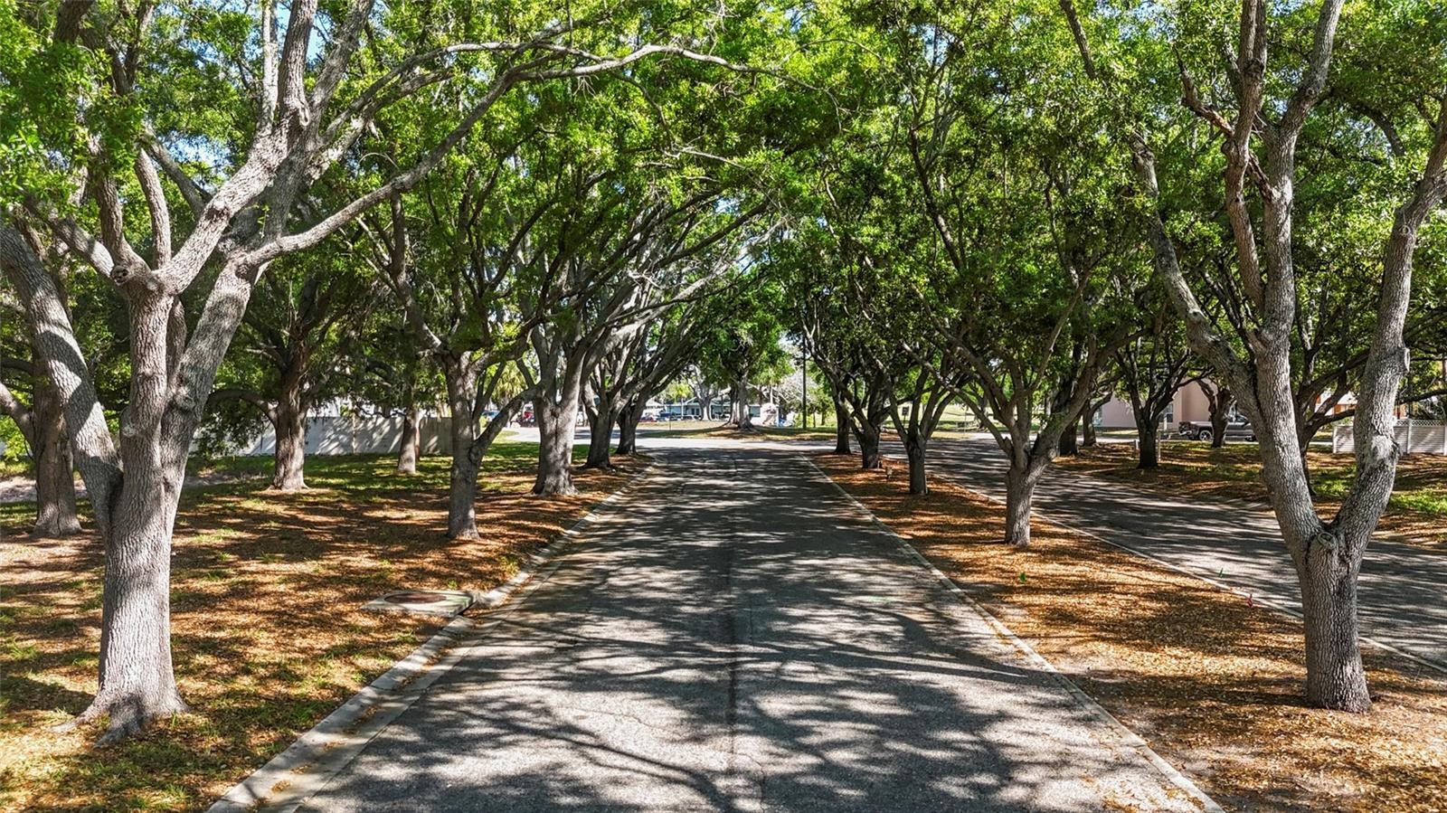 4210 IRONWOOD CIR #308J