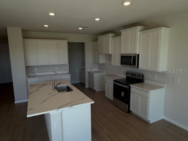 5432 SILVER MOONLIGHT DR